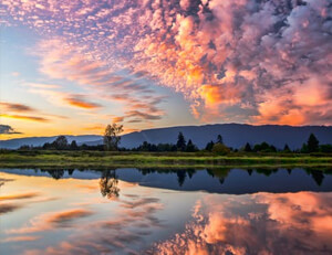 男子篮球联赛赛场上将掀起波澜壮阔