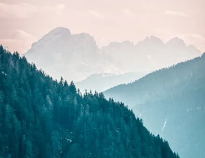 C罗:成为足球竞技的灵魂人物