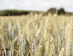 詹姆斯面对老东家,砍下三双助湖人取得胜利