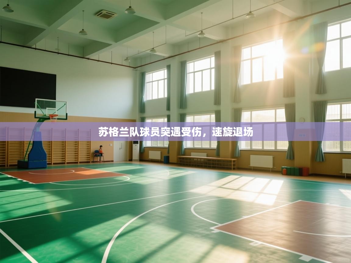 苏格兰队球员突遇受伤,速旋退场 第1张