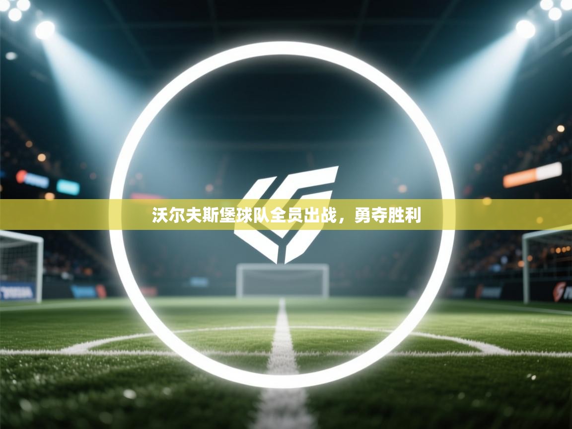 沃尔夫斯堡球队全员出战，勇夺胜利  第2张