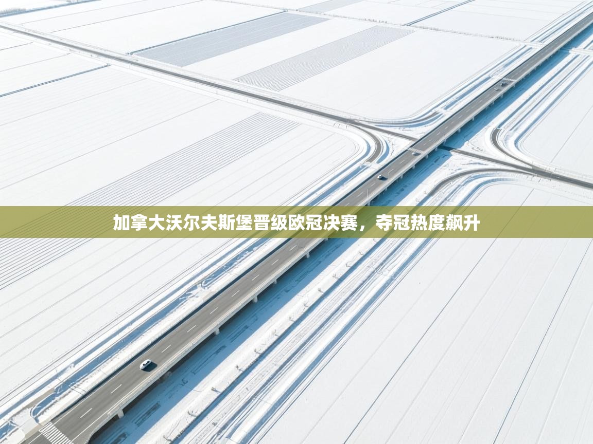 加拿大沃尔夫斯堡晋级欧冠决赛,夺冠热度飙升 第2张