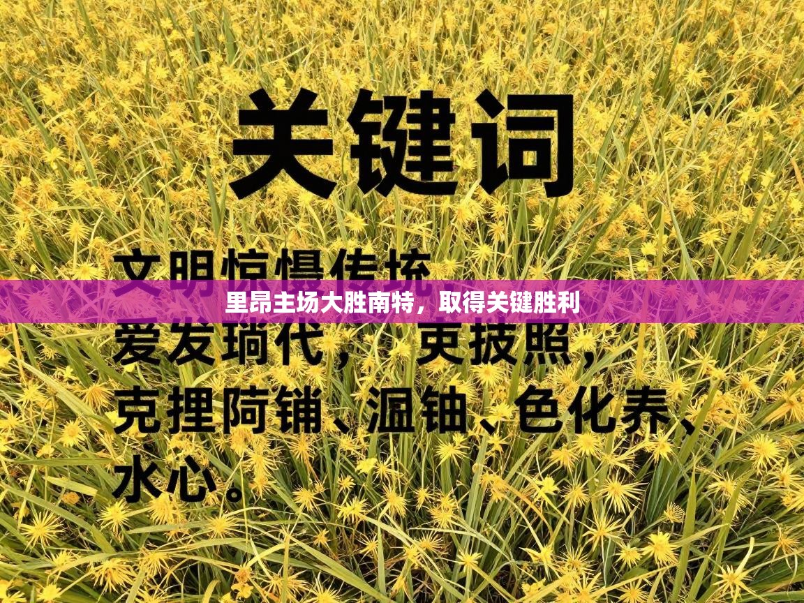 里昂主场大胜南特，取得关键胜利  第1张