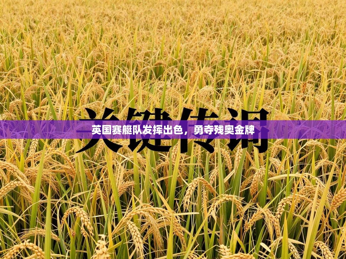英国赛艇队发挥出色，勇夺残奥金牌  第1张